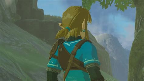 link hair totk